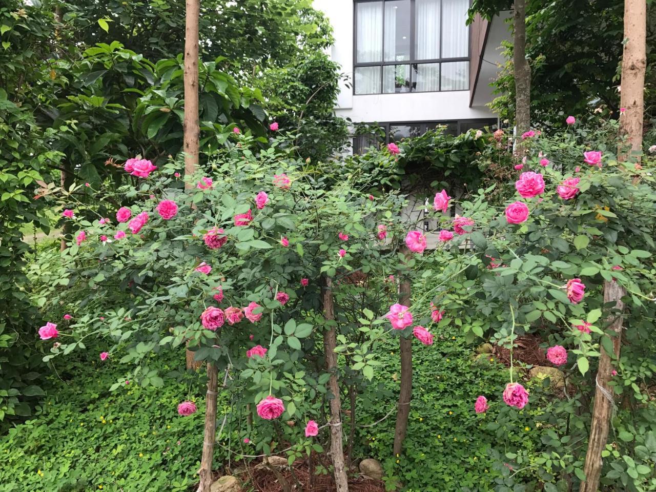 Flamingo Dailai - Hq Villa Ngoc Quang Exterior foto